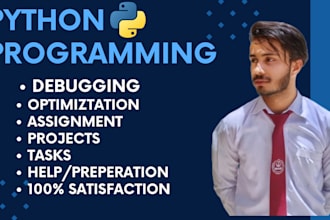 do python programming and debugging