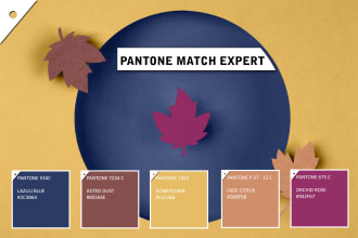 convert of any cmyk, rgb or hex color to pantone match