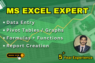 be your microsoft excel expert, do data cleaning, data entry, vlookup, hlookup