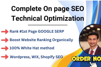 fix semrush technical errors and complete on page seo optimization