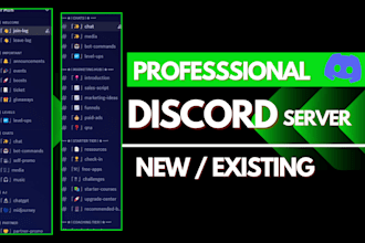 setup new and existing custom discord server within 24 hours