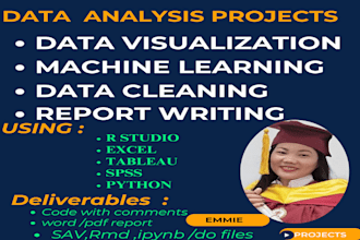 do any statistical project of r programming ,spss,excel ,tableau and python