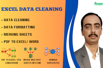 clean, format, organize, merge excel and csv data