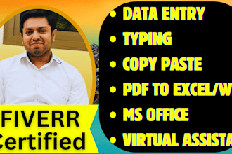 do data entry in ms excel, google sheet, typing and format ms word, data convert