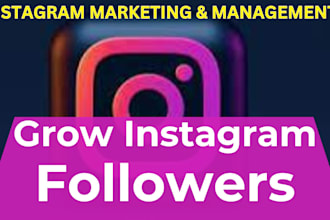 do professionally instagram marketing and promotion with organic growth
