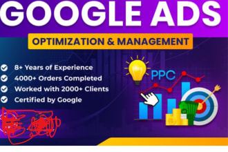 do google ads setup and management for ecommerce domain