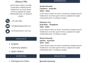 do perfessional resume design or CV design maker