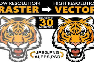 convert raster logo,image in vector file high resolution ai,png,eps