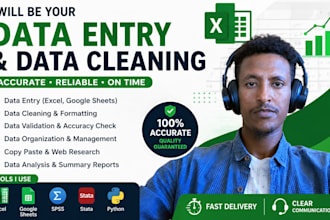 do data entry, data cleaning and data analysis with accuracy