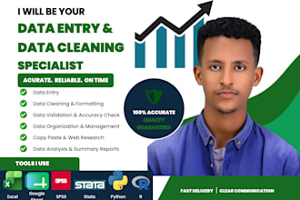do data entry, data cleaning and data analysis with accuracy