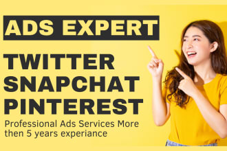 create twitter ads, snapchat ads and pinterest ads campaigns