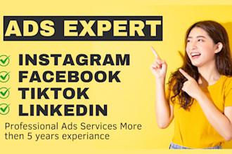 do tiktok, linkedin, instagram, facebook ads campaigns