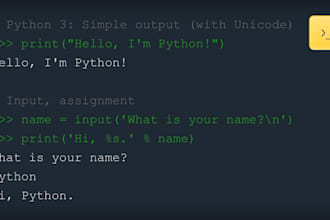 write a python 2 python 3 script