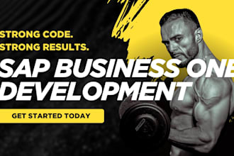 be your sap b1 business one consultant developer