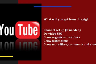 do youtube video promotion with organic way to more views and subscriber