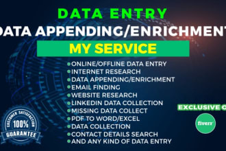 do data entry, cleaning, appending and data enrichment