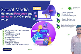 setup and manage facebook and instagram ads campaign