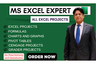 do all excel projects, cengage, formulas and grader projects urgently