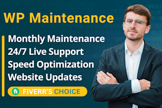do monthly wordpress website maintenance, updates, security, support and help