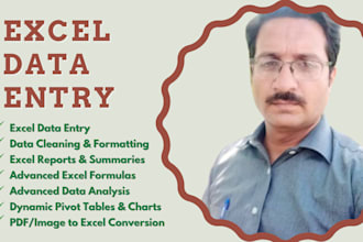 do data entry microsoft excel, virtual assistant, data collection, typing