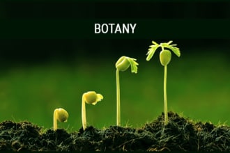 write botany essays, ecology, agronomy, agroecology paper