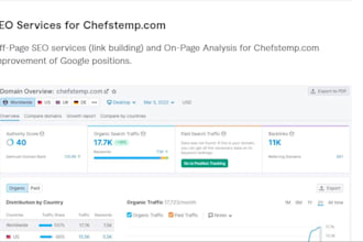 wordpress SEO optimization and page speed insights