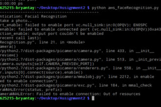 do raspberry pi and pico coding and hardware development