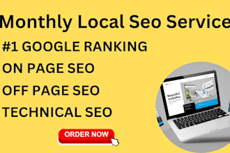 provide monthly local seo service for small businesses