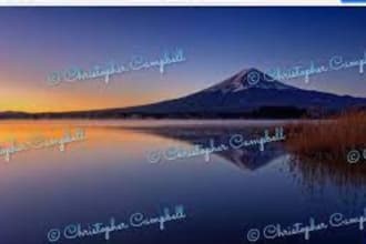 add and remove a logo or signature watermark