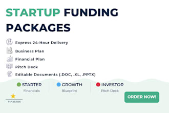 develop a full business plan, 5 year financial forecast and investor pitch deck