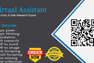 do fast and unique data entry as a virtual assistant