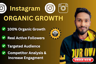 create instagram organic growth with ig promotion