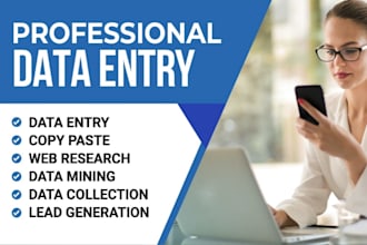 do professional data entry specialist for excel