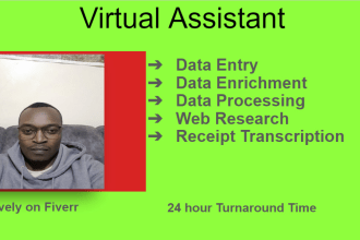 be your virtual assistant for data entry data processing and lead enrichment