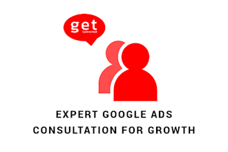 deliver a comprehensive google ads consultation
