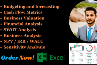 build excel financial model,budget, business plan, valuation