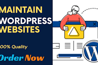 provide wordpress website maintenance and wordpress support or help