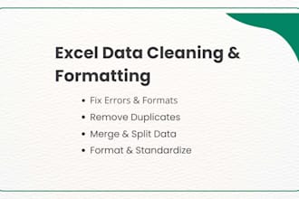 do excel data cleaning and formatting
