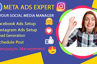 expert facebook ads manager maximize your ROI, reach target audience and sale