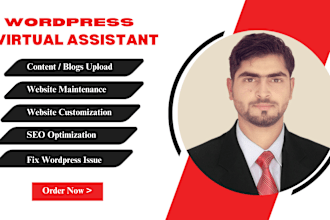 your wordpress virtual assistant ,website maintenance and upload website content