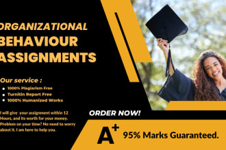 do organizational behaviour assignments in 12 hours