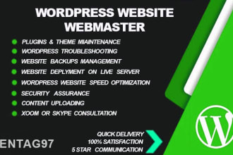 your website manager for wordpress website maintenance seo expert