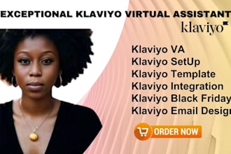 setup klaviyo flows email marketing campaign templates shopify virtual assistant