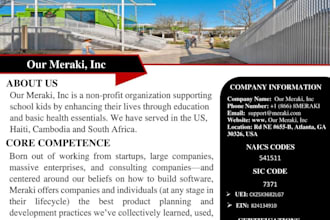 create professional and attractive capability statement within 5 hours