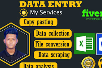 do data entry, typing work, copy paste, excel data entry