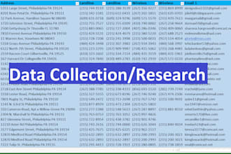 data entry, copy paste, excel data entry, convert PDF, web research