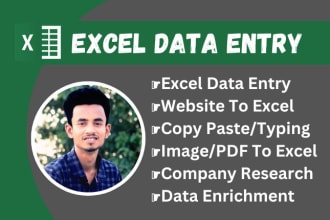 excel data entry, copy paste, convert PDF, web research