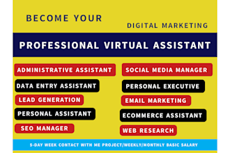 be your administrative virtual assistant, data entry person