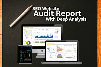 provide complete professional website seo audit report