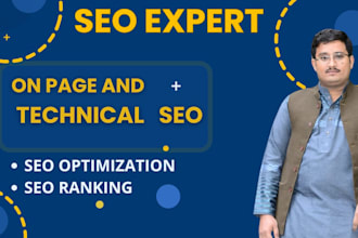 optimize wordpress website by professional technical on page SEO